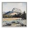 Stupell Industries Desert Mountains and Forest Landscape Framed Giclee, design by Petal Prints Design